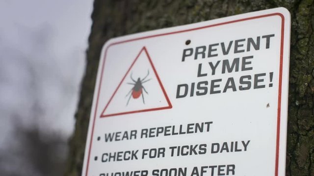 Lyme Disease warning sign