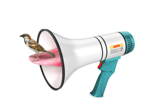 Bullhorn. The sparrow sits on the tongue which is pushed out of the loudspeaker. The popular proverb. 3d illustration