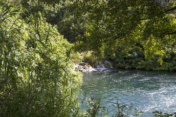 Obraz na płótnie Canvas Woodlands and water reserve of Krka national park in Sibenik, Croatia