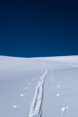 A single ski  touring track leading into distance in winter