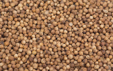 coriander seeds background 