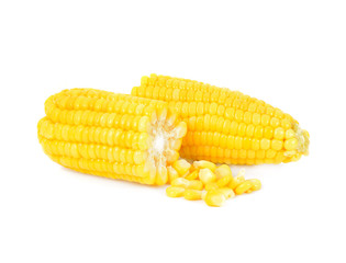 corn isolated on white background