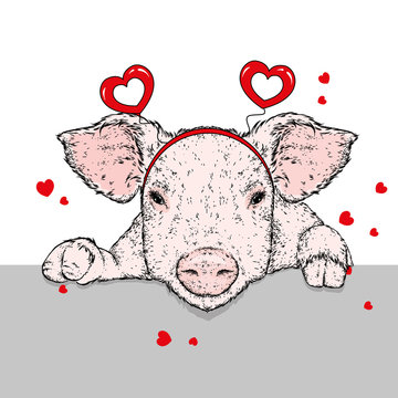 Piglet in clothes and accessories with hearts. Valentine's Day, love and friendship. Illustration for a postcard or a poster.