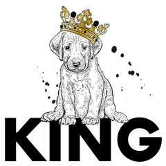 Beautiful dog in the crown. Purebred puppy in clothes and accessories. Vector illustration for a postcard or a poster, print for clothes. © juliagrin