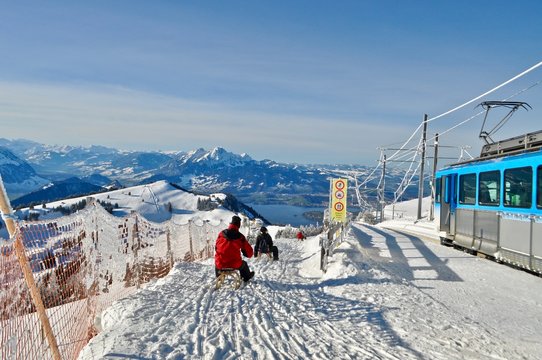 Schlittenfahrt auf dem Rigi, Berg in der Zentralschweiz - Rodelbahn / Schlittenbahn in der Bergwelt, 