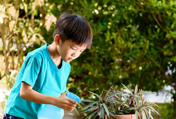 Boy watering garden