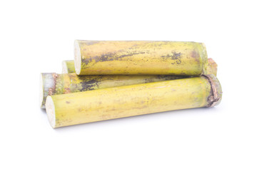 segment sugar cane isolated on white background