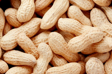 落花生 ピーナッツ ピーナツ 豆 複数