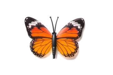 Colourful butterfly isolated on white background