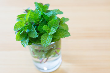 Fresh organic peppermint tea in glass on wooden background