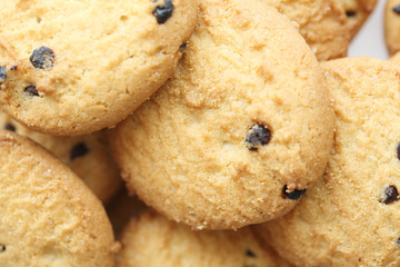 Chocolate chip cookie isolated in white background