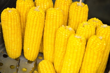 Sweet corns boiled on stainless steel pot in the market,Thailand.