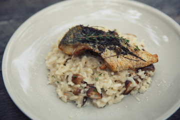 risotto with sea bass fillet steak on wood background , italian food
