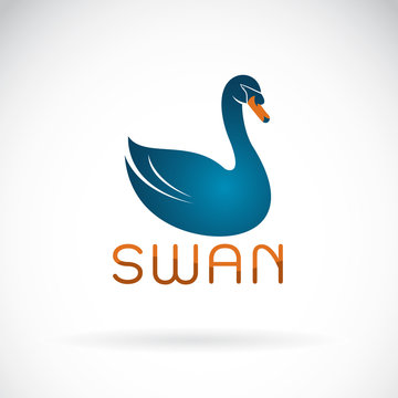 Vector of blue swan design on white background. Wild Animal. Bird. Easy editable layered vector illustration.