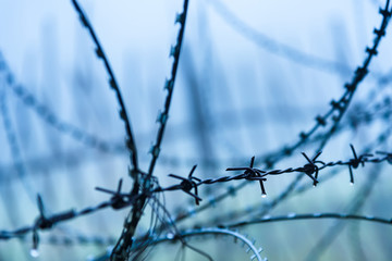 Protective fencing specially protected object of barbed wire. Stamped barbed wire.