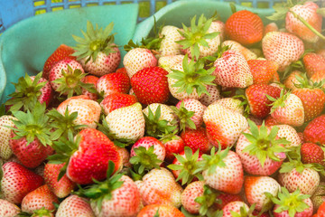 Fresh and tasty strawberries background, close up.Thailand.