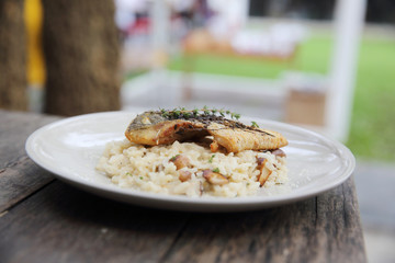 risotto with sea bass fillet steak on wood background , italian food