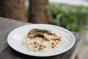 risotto with sea bass fillet steak on wood background , italian food