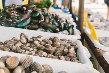 Fresh cockles in the seafood market, PATAYA, THAILAND