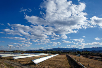 千切り大根干しと雲の多い空