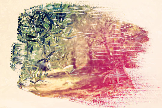 dreamy and abstract image of the forest. double exposure effect with watercolor brush stroke texture.