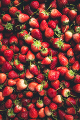 Strawberry, keep strawberries fresh from the farm.