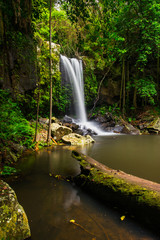 Curtis Falls a popular waterfall in Tamborine National Park on Mount Tamborine in the Gold Coast Hinterland, Queensland, Australia