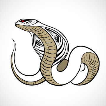 Snake, Cobra in the form of a tattoo