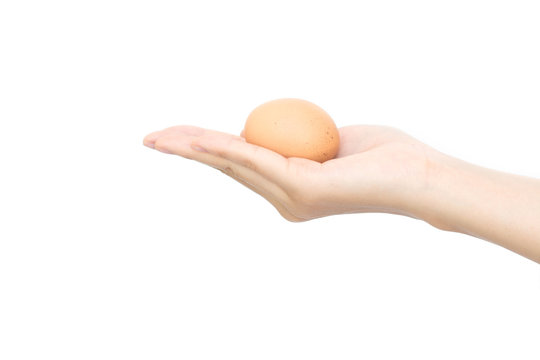 Woman hand with hen egg isolated on white background.