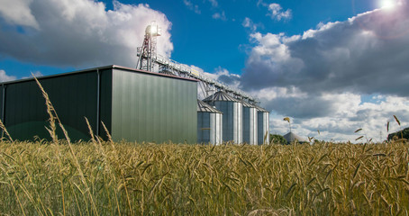 economic agricultural factory in nature