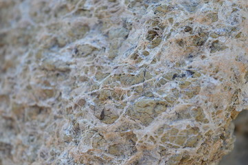 Roca telaraña. Cabo de la Vela, La Guajira- Colombia. 