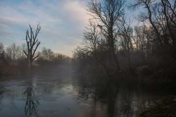 Swamp at sunset in winter, Danubian area, Slovakia forest, Europe