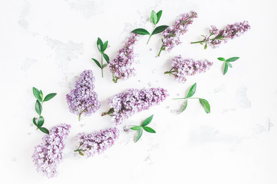 Flowers composition. Lilac flowers, green leaves on white background. Flat lay, top view