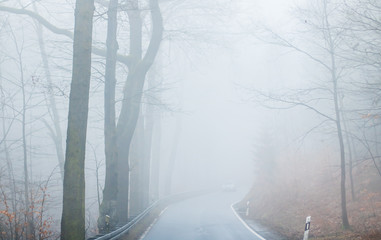 eine schmale Landstrasse führt durch einen Wald, es ist starker Nebel