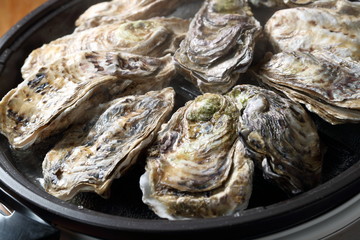 牡蠣の酒蒸し　Oysters steamed with Japanese sake