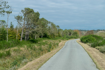 On the road through Denmark