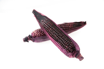 purple corn isolated on white background