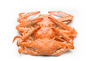 Flower crab steamed isolated on white background
