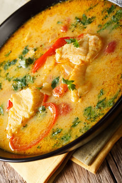 traditional Brazilian dish Moqueca Baiana of fish and bell peppers in a delicately coconut sauce close-up. Vertical