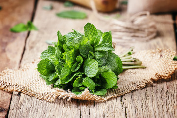 Fresh mint in a bundle, vintage wooden background, selective focus