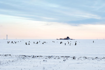 winter fishing on the sea the bright sun