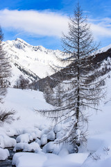 The enchanted valley. Val Aurina in winter