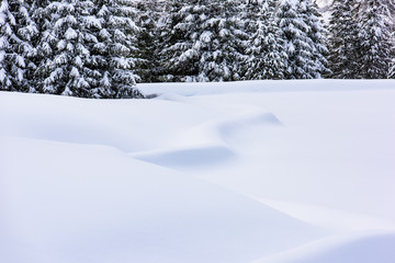 The enchanted valley. Val Aurina in winter