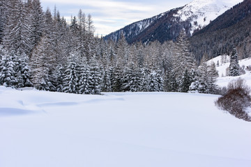 The enchanted valley. Val Aurina in winter