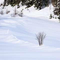 Obraz premium Footprints in the snow
