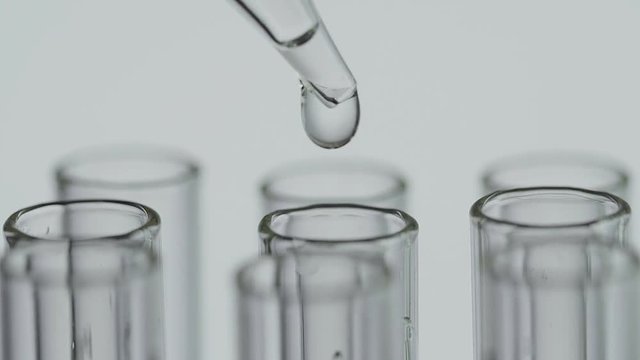 At laboratory scientist working with a pipette analyzes and extract the DNA or molecules in the test tubes.on color background