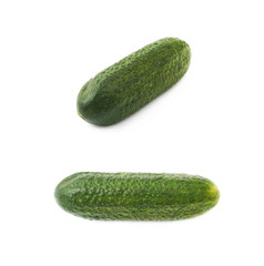Fresh green cucumber isolated