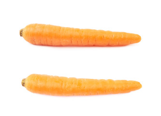 Fresh carrot isolated