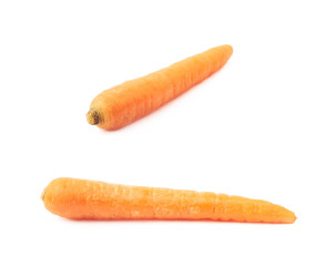 Fresh carrot isolated