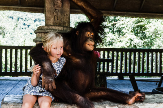 blond girl hugging a big monkey